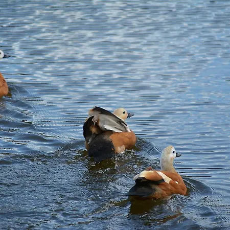 El Jou Nature Sant Corneli