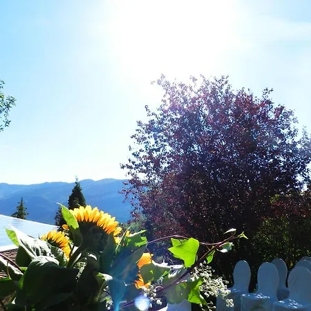 El Jou Nature