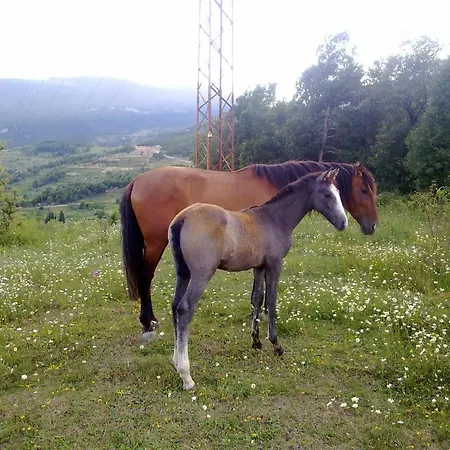 Szálloda El Jou Nature 3*