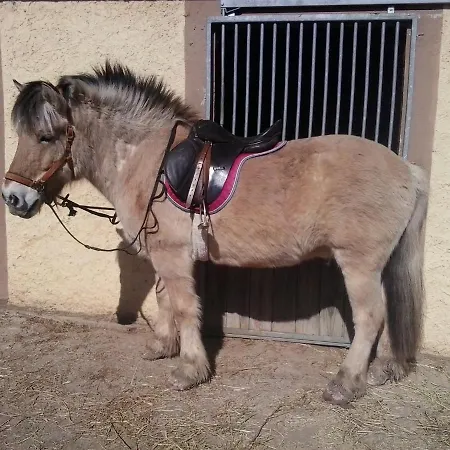 El Jou Nature Szálloda 3*