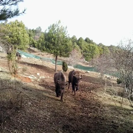 El Jou Nature Szálloda 3*