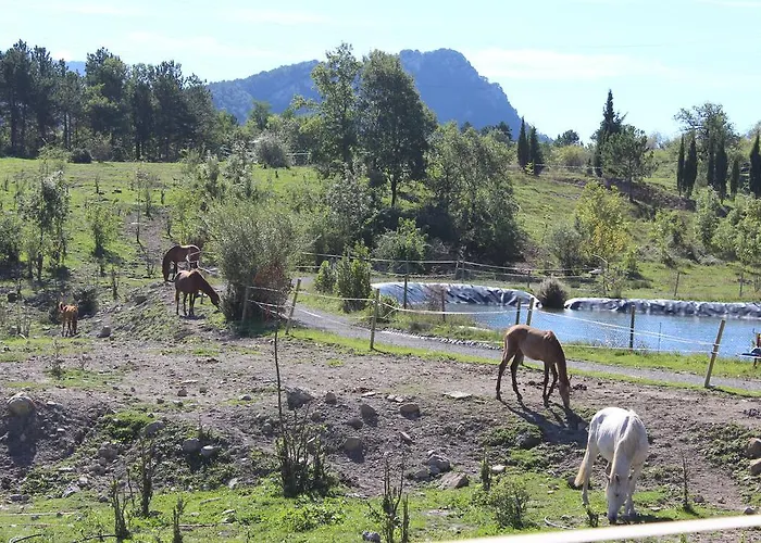 El Jou Nature 3* Sant Corneli