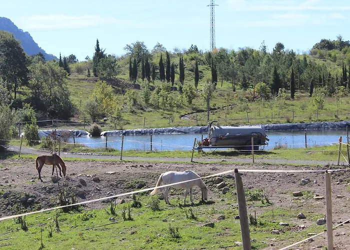 El Jou Nature Sant Corneli