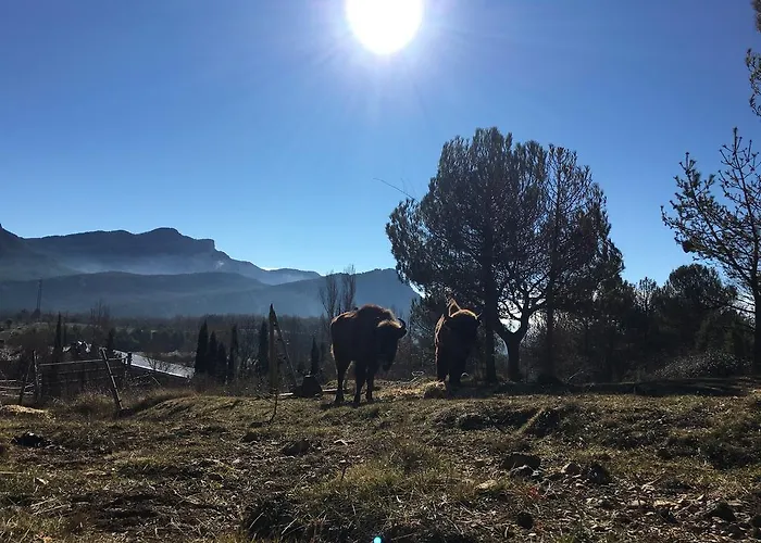 El Jou Nature 桑特康奈利得赛克