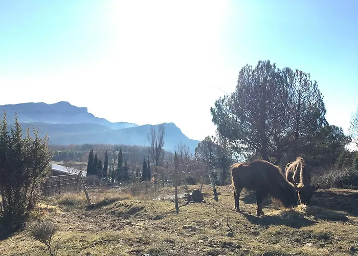El Jou Nature Hotel Sant Corneli