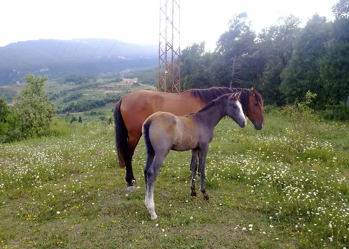 Szálloda El Jou Nature 3*