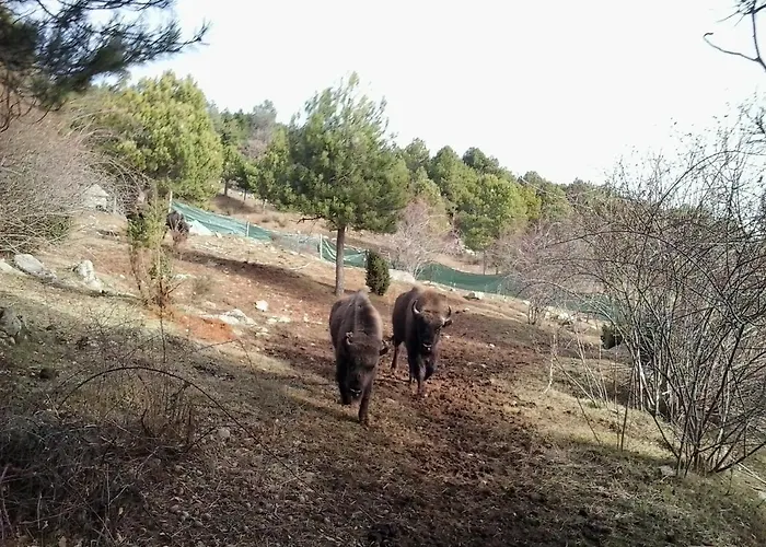 El Jou Nature Szálloda 3*