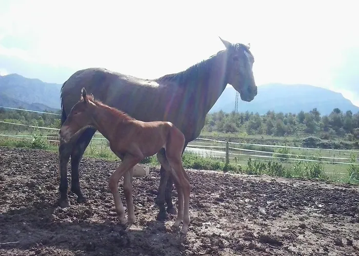 El Jou Nature Sant Corneli
