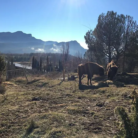 Familiar El Jou Nature Hotel