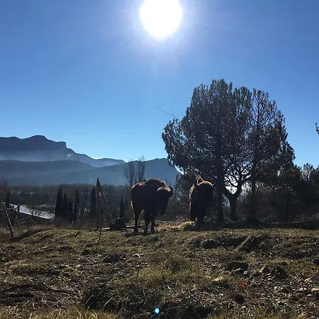 Familiar El Jou Nature Sant Corneli