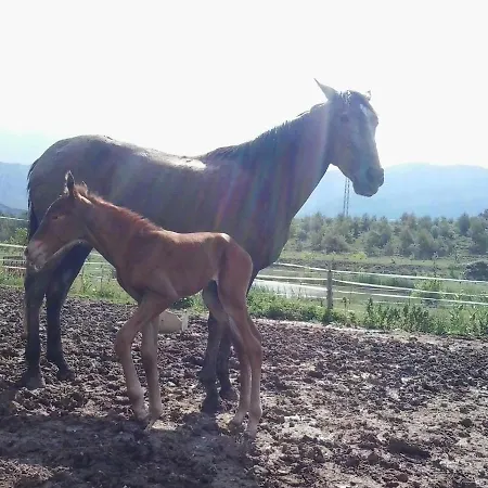 Familiar El Jou Nature Sant Corneli
